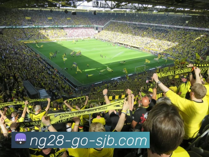 懂球帝，懂球帝官网，懂球帝官方网站，懂球帝入口，懂球帝APP发展历程